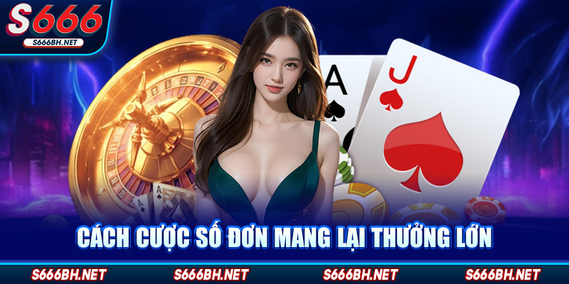 Cách cược số đơn mang lại thưởng lớn