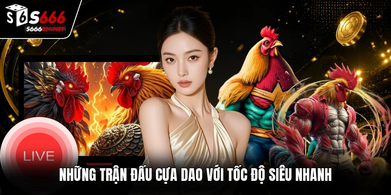 Những trận đấu cựa dao với tốc độ siêu nhanh