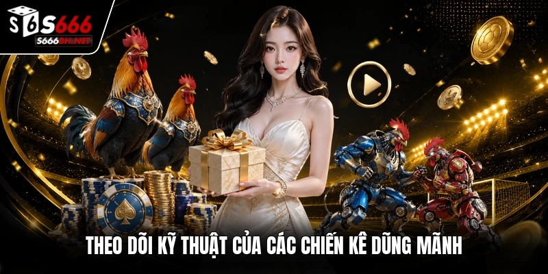 Theo dõi kỹ thuật của các chiến kê dũng mãnh